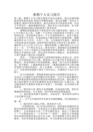 暑期个人实习报告