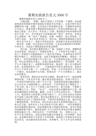 暑期实践报告范文3000字