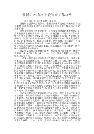 最新2024年X市委巡察工作总结