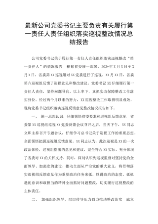 最新公司党委书记主要负责有关履行第一责任人责任组织落实巡视整改情况总结报告