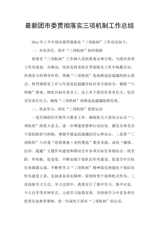 最新团市委贯彻落实三项机制工作总结