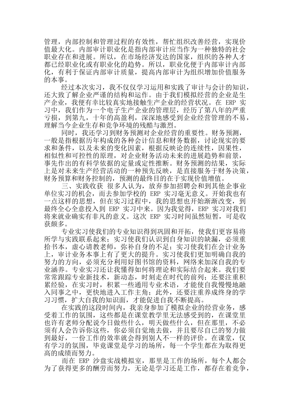 最新审计实习报告_第2页