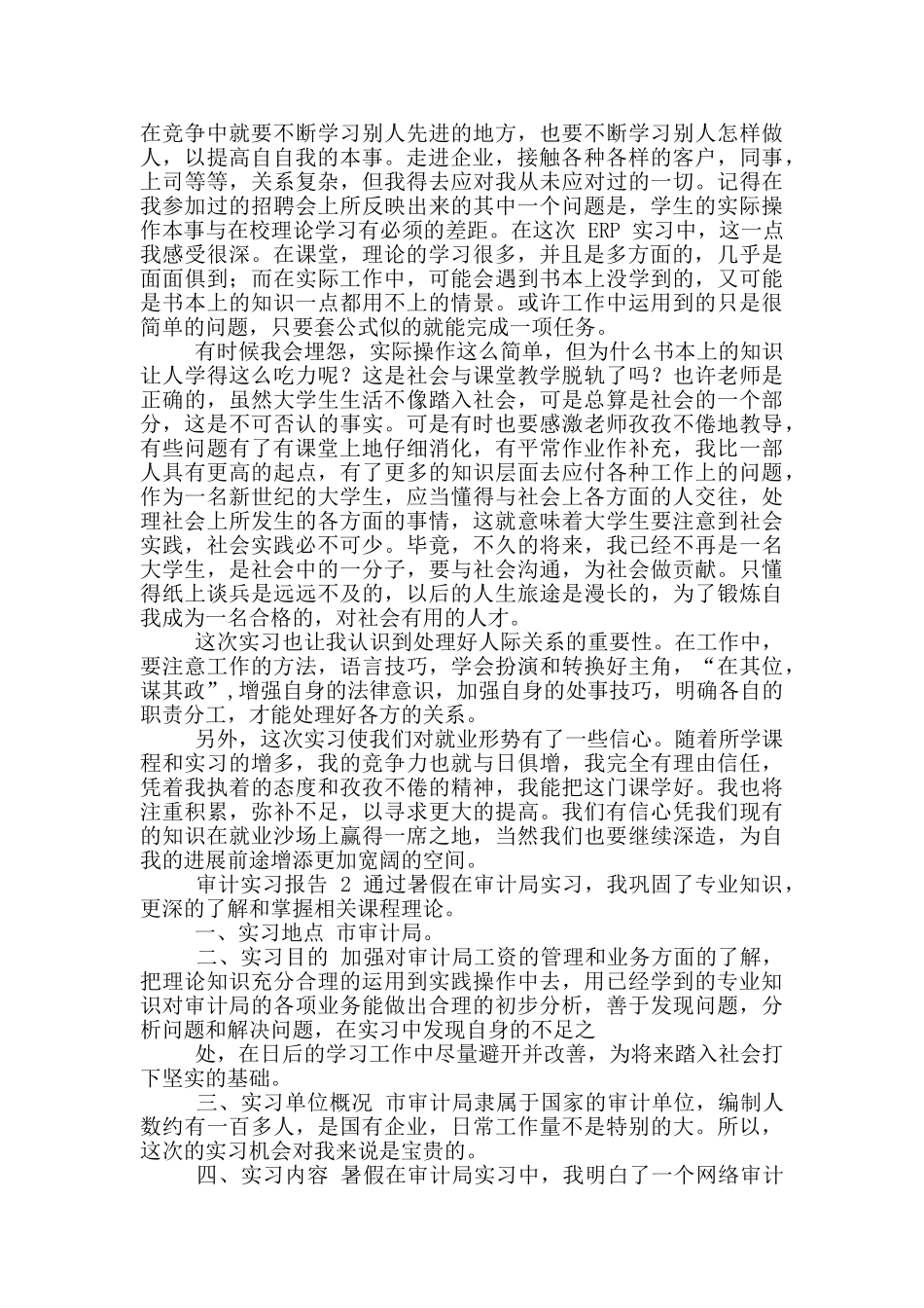 最新审计实习报告_第3页