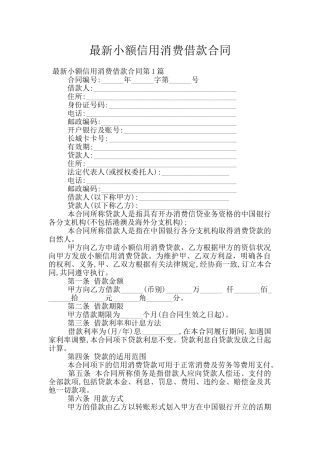 最新小额信用消费借款合同