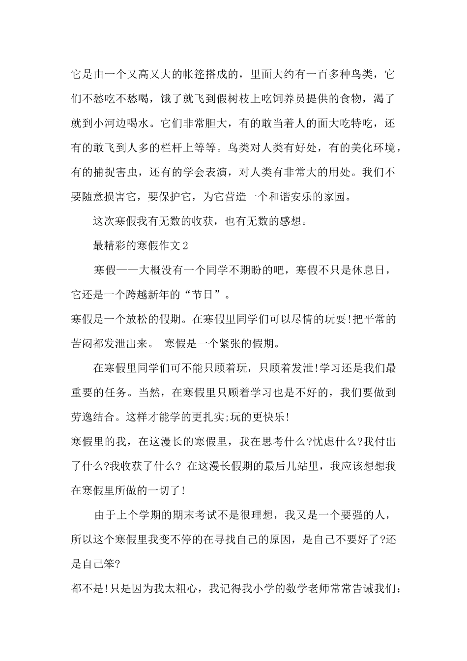 最精彩的寒假作文5篇_第2页