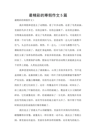 最精彩的寒假作文5篇