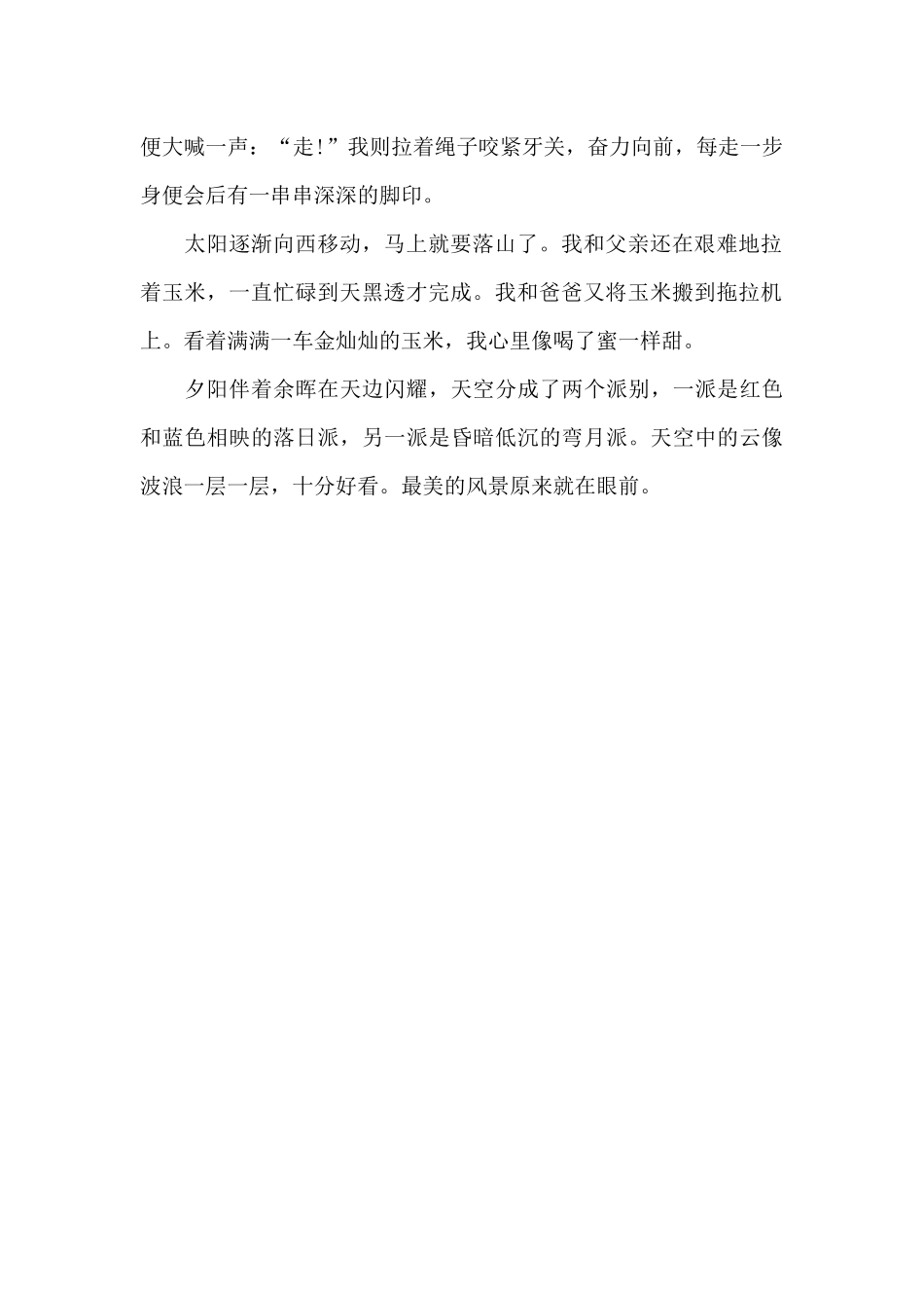 最美的风景-关于风景的作文650字_第2页