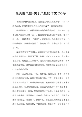 最美的风景-关于风景的作文650字