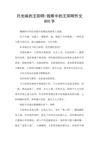月光味的王阳明