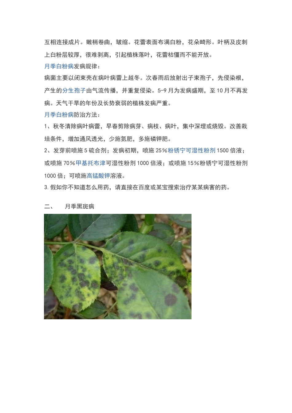 月季常见病虫害_第2页