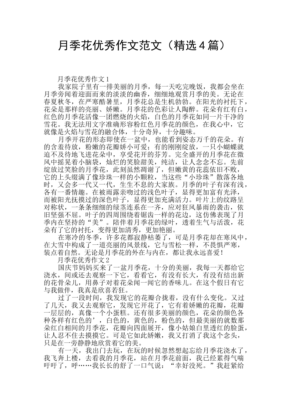 月季花优秀作文范文_第1页