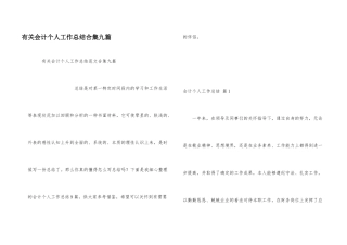有关会计个人工作总结合集九篇