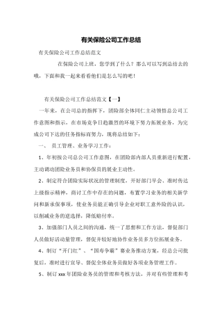 有关保险公司工作总结