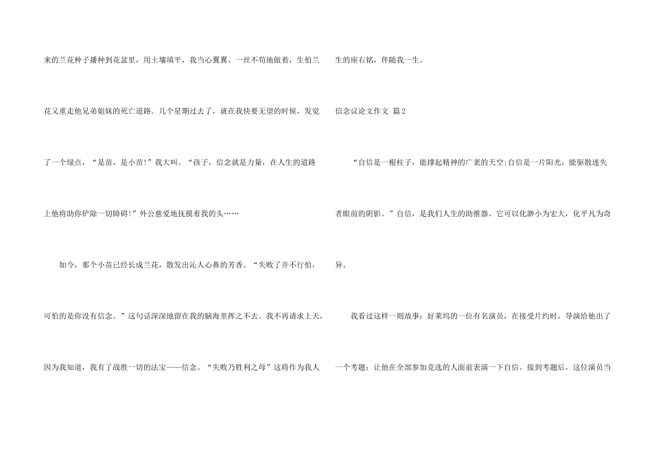有关信心议4篇_第2页