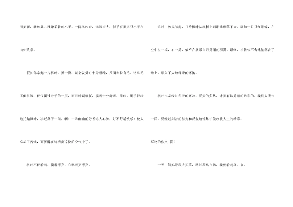 有关写物的合集八篇_第2页