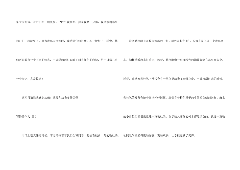 有关写物的四篇_第2页