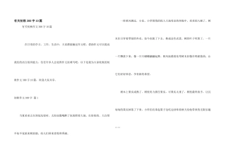 有关初秋300字10篇