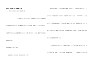 有关可爱的猫300字锦集十篇