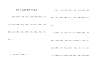 有关员工试用期的工作总结