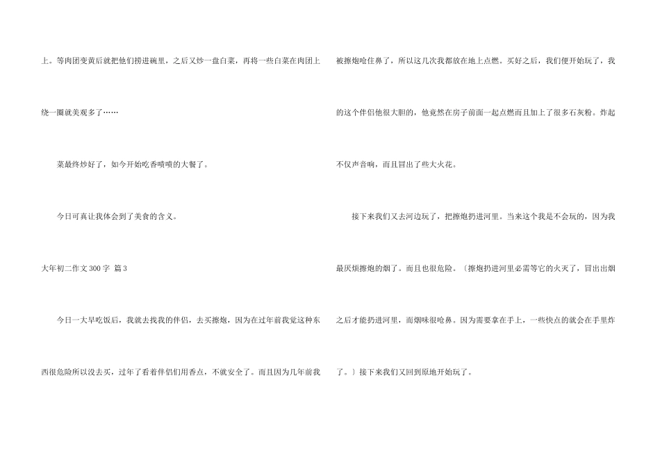 有关大年初二300字汇总10篇_第3页