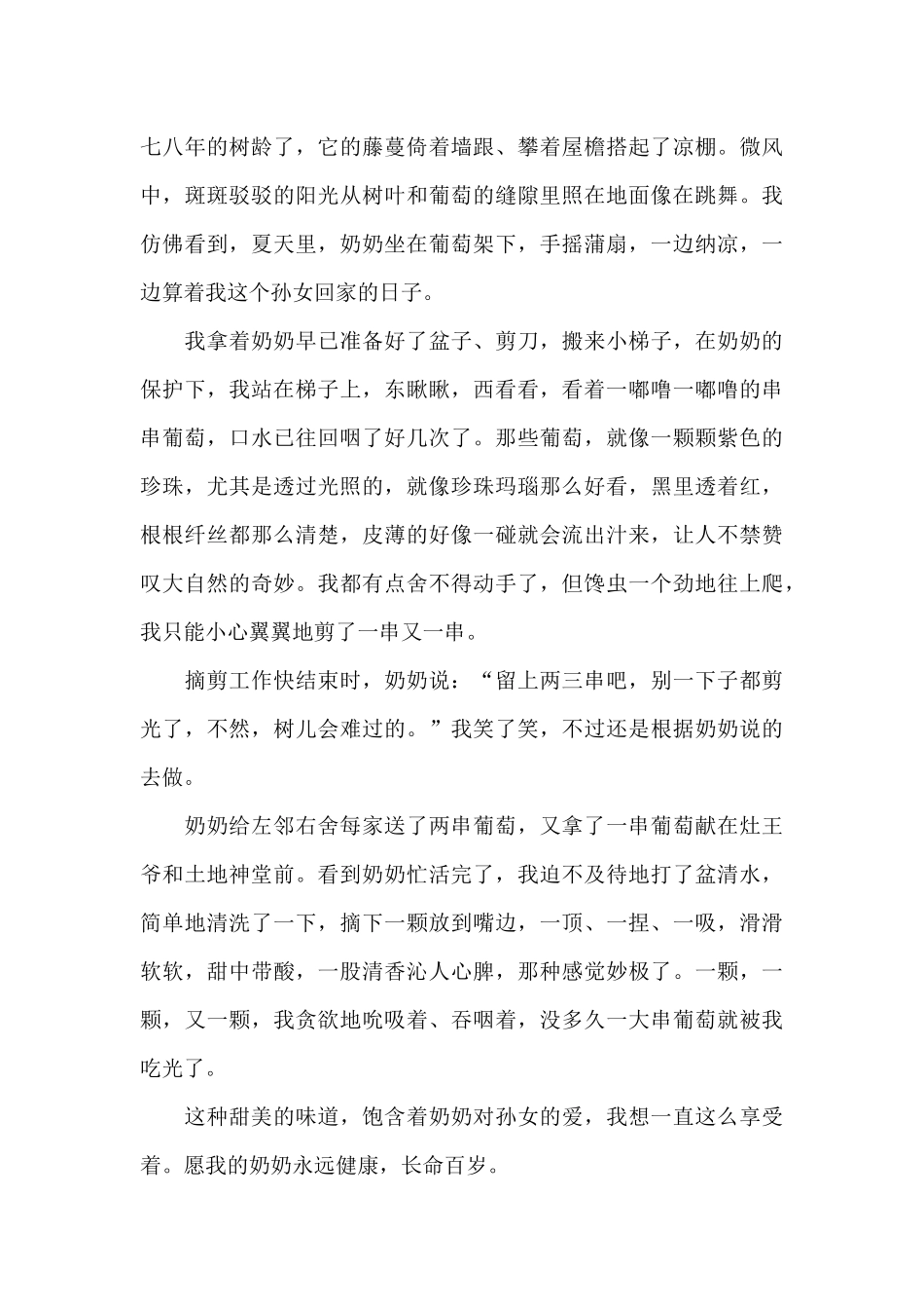 有关奶奶的800字作文5篇范文_第3页