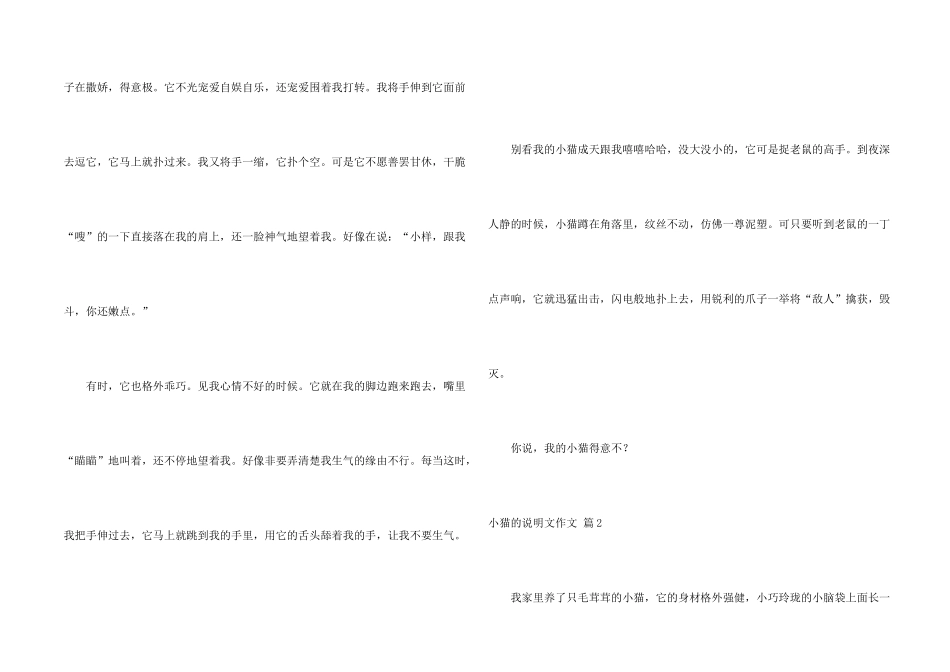 有关小猫的说明文9篇_第2页