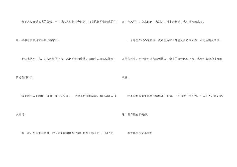 有关心愿小学5篇_第2页