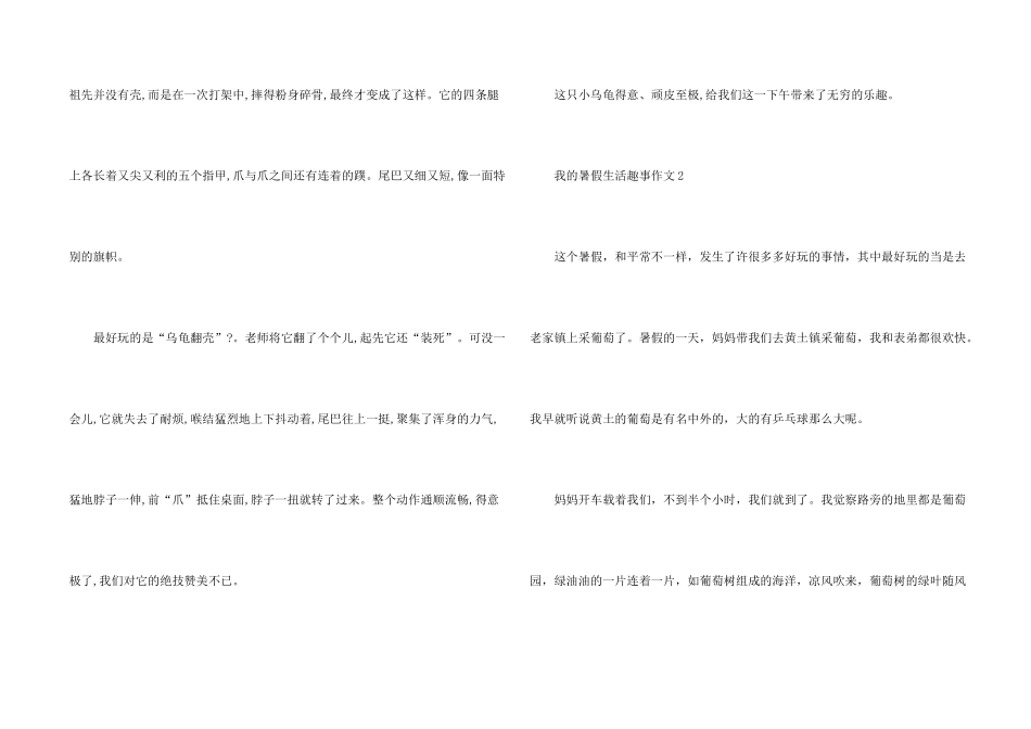 有关我的暑假生活趣事（3篇）_第2页