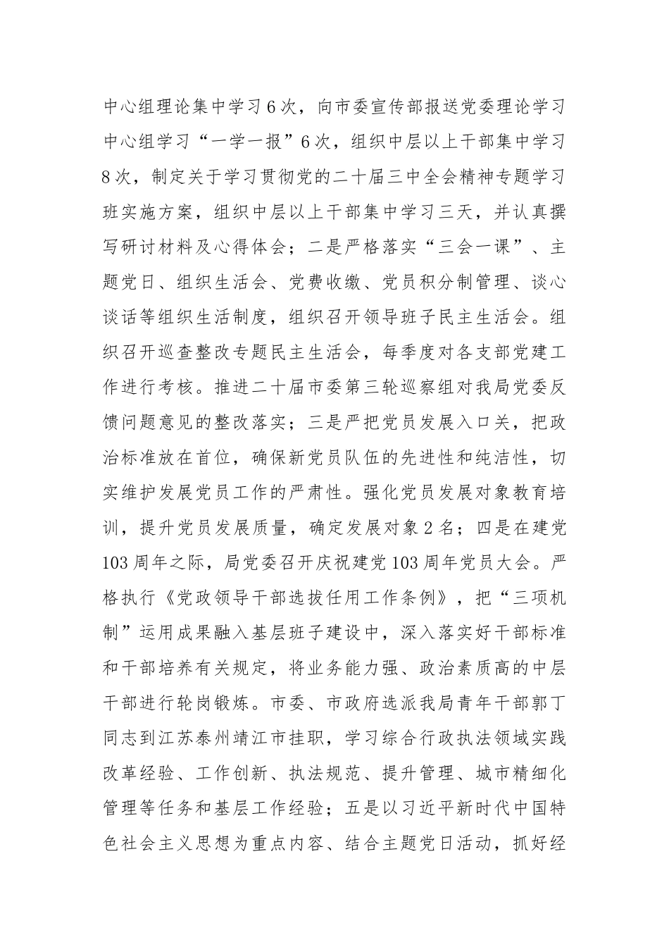 市综合行政执法局2024年度工作总结暨2025年度工作计划_第2页