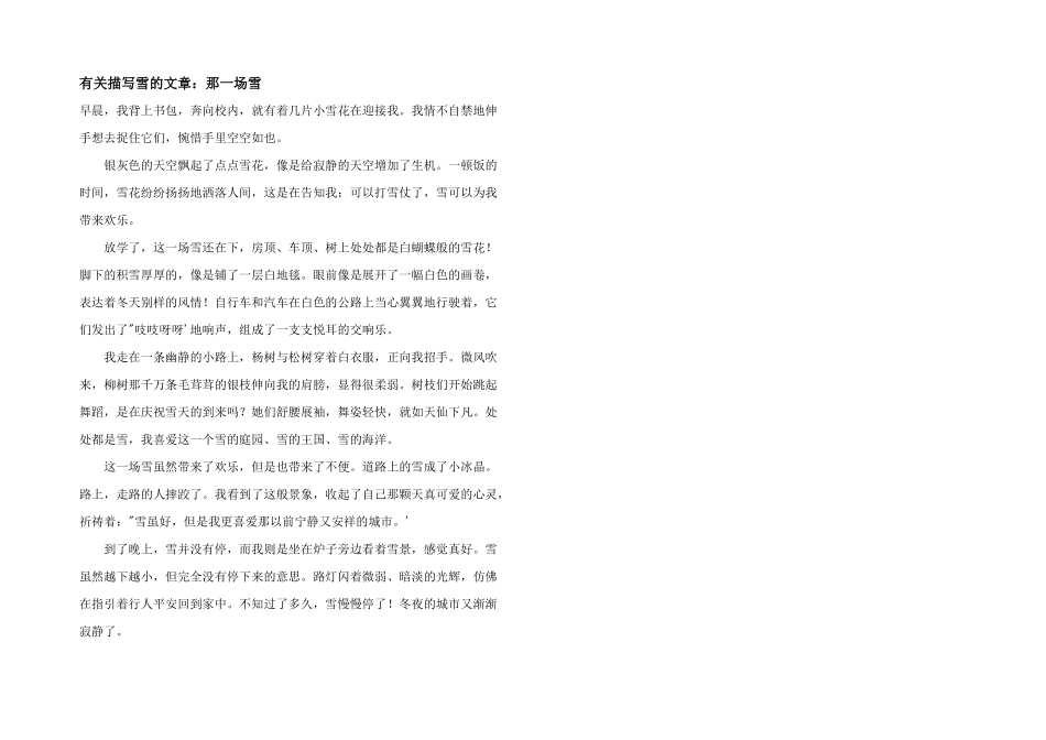 有关描写雪的文章：那一场雪_第1页