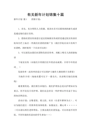 有关新年计划锦集十篇