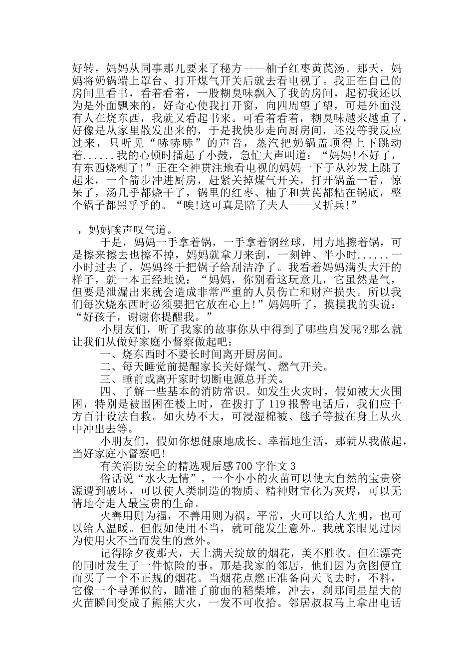 有关消防安全的观后感700字作文5篇_第2页