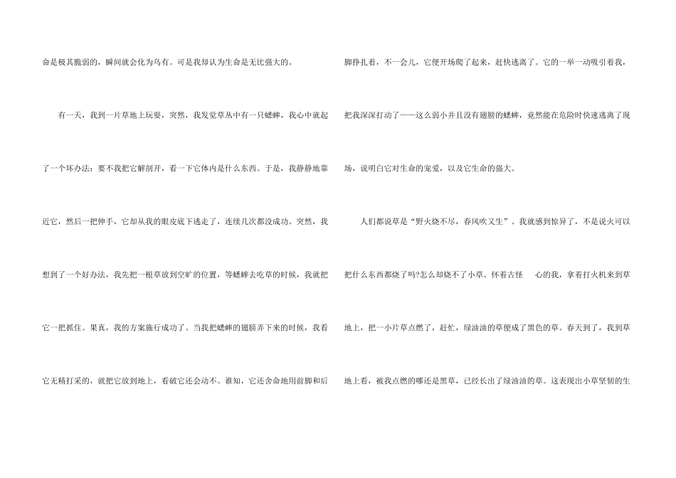 有关热爱生命的感人故事_第3页