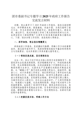 团市委副书记专题学习2025年政府工作报告交流发言材料