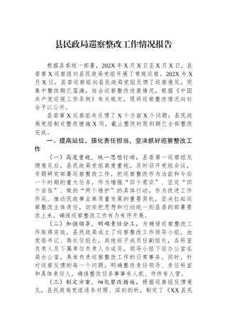 县民政局巡察整改工作情况报告