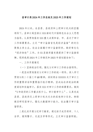 县审计局2024年工作总结及2025年工作谋划