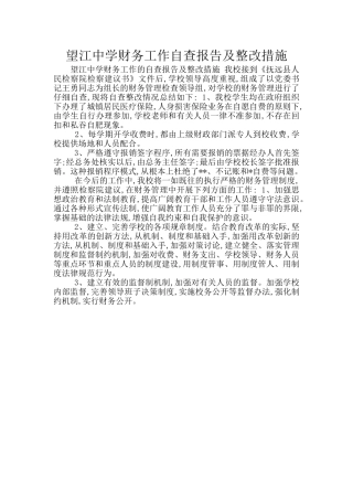 望江中学财务工作自查报告及整改措施