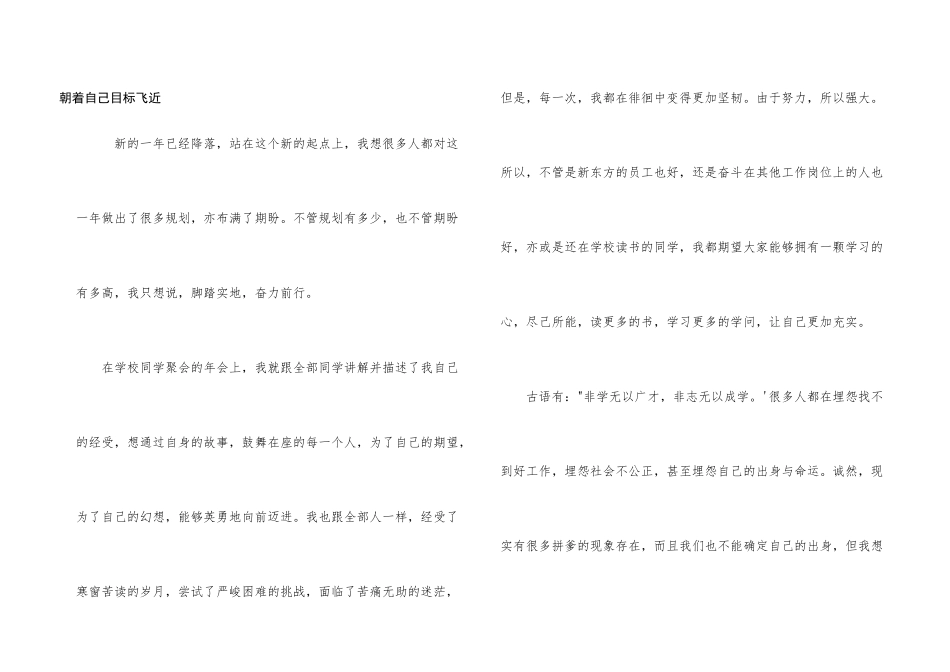 朝着自己目标飞近_第1页