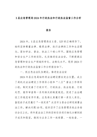 县应急管理局2024年行政执法和行政执法监督工作分析报告
