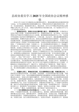 县政协委员学习2025年全国政协会议精神感悟