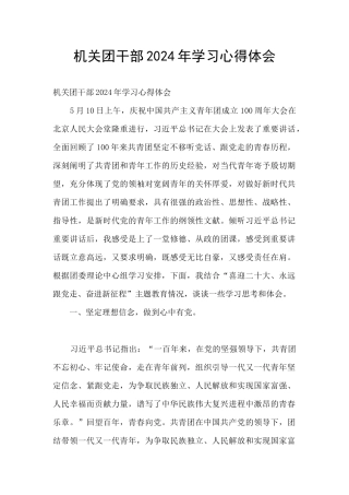 机关团干部2024年学习心得体会