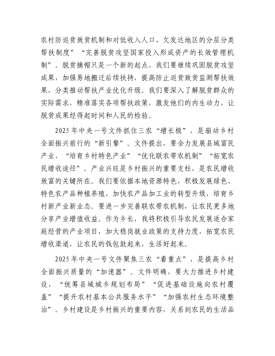 乡长学习2025年中央一号文件的研讨发言材料_第2页
