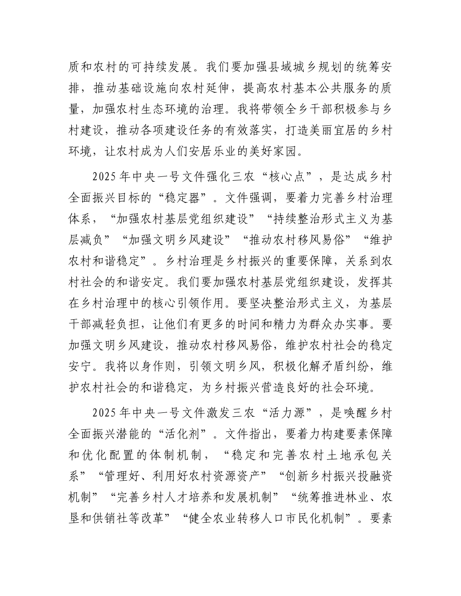 乡长学习2025年中央一号文件的研讨发言材料_第3页