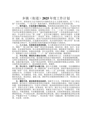 乡镇（街道）2025年度工作计划