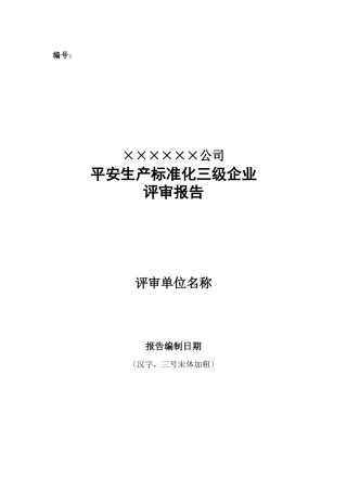 机械公司安全生产标准化三级企业评审报告