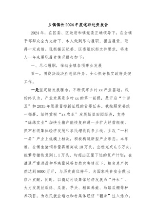 乡镇镇长2024年度述职述责报告