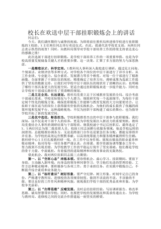 校长在欢送中层干部挂职锻炼会上的讲话