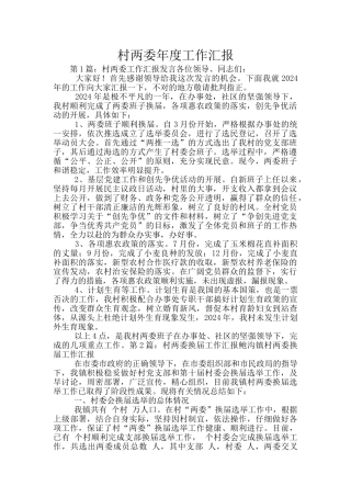 村两委年度工作汇报