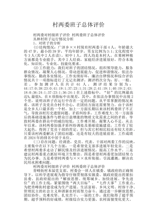 村两委班子总体评价