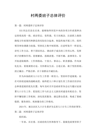 村两委班子总体评价